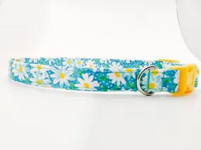 Aqua Daisy Dog Collar/ Cat Collar