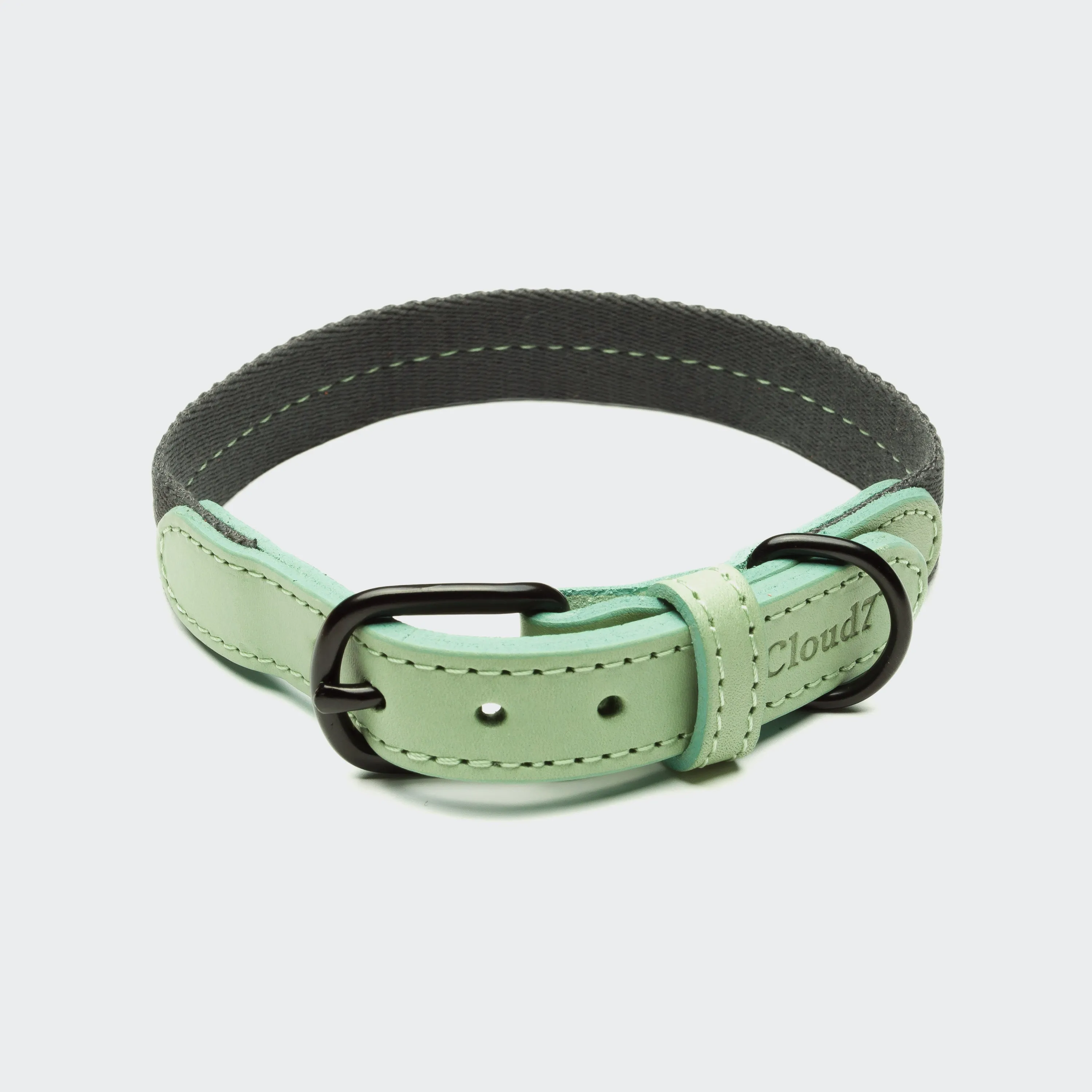 Best Cloud7 Dog Collar - MEDIERA