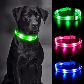 BSEEN Double-Line LED Dog Collar