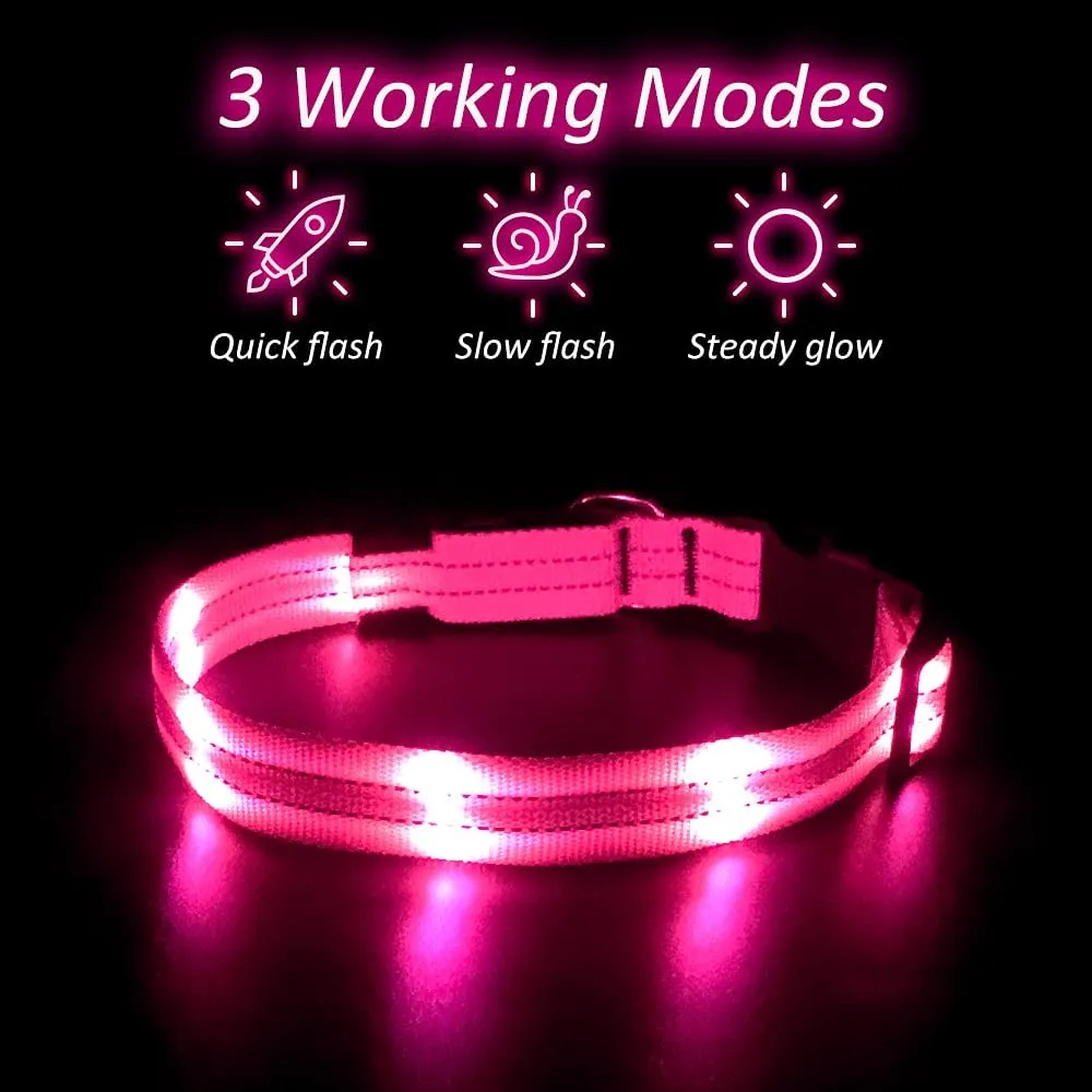 BSEEN Double-Line LED Dog Collar