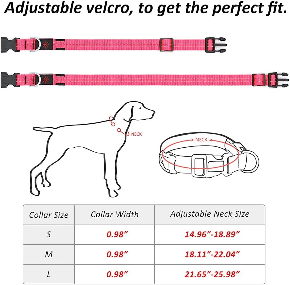 BSEEN Double-Line LED Dog Collar