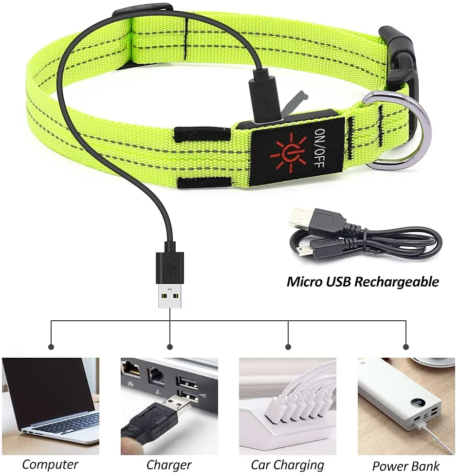 BSEEN Double-Line LED Dog Collar