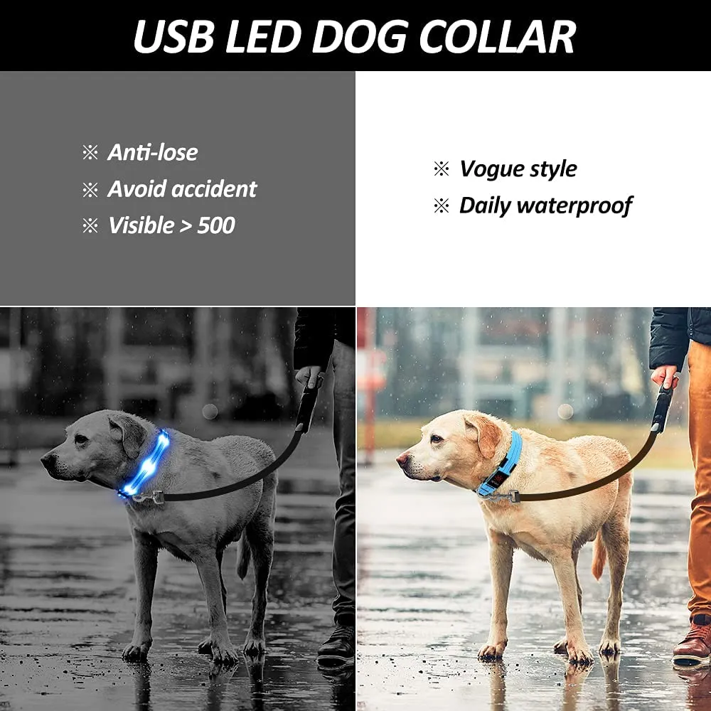 BSEEN Double-Line LED Dog Collar