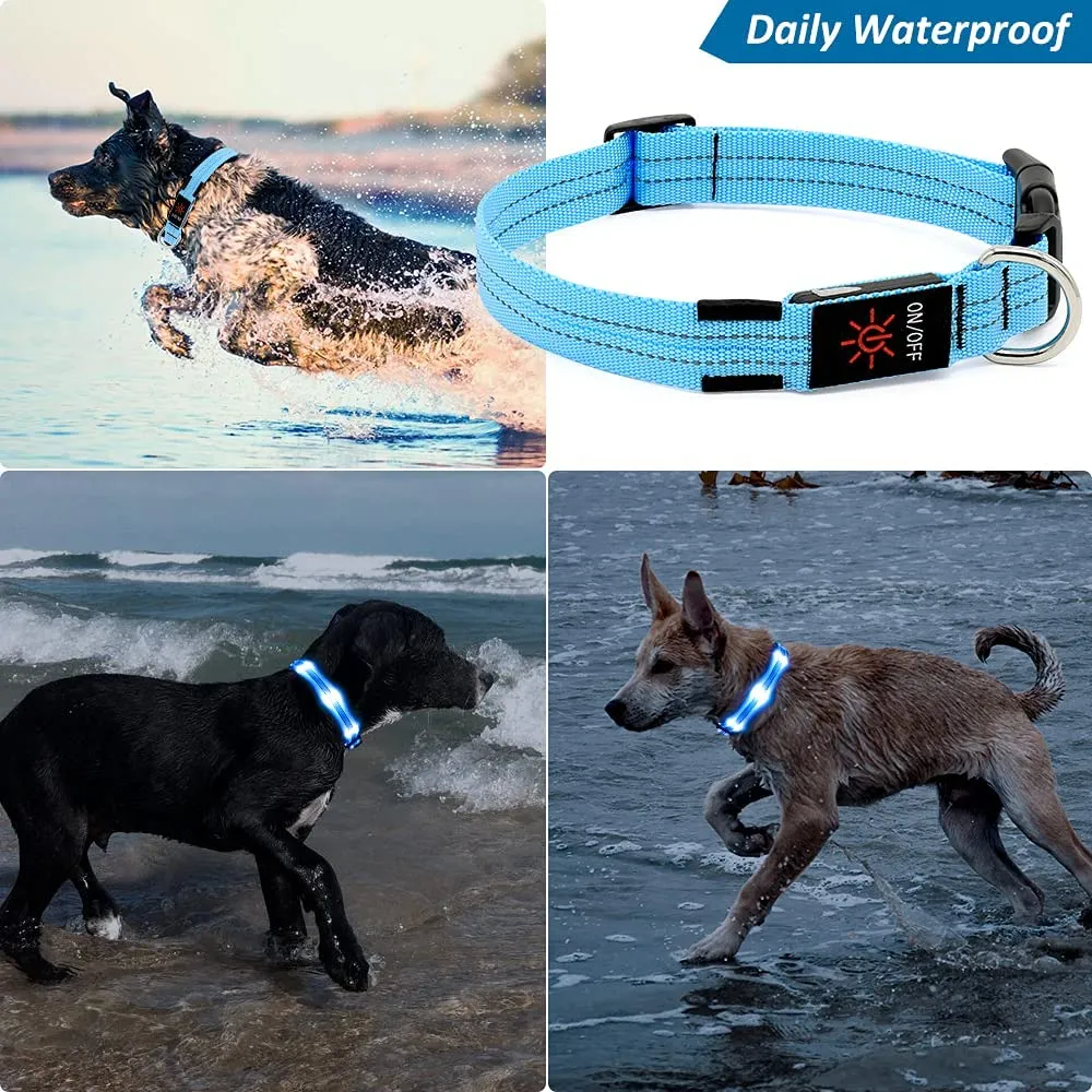 BSEEN Double-Line LED Dog Collar