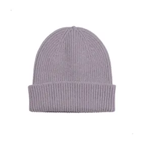 Colorful Standard Merino Wool Beanie (purple haze)