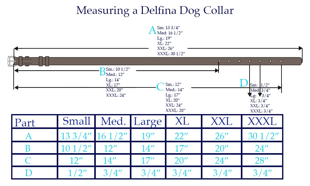 Custom Collars : Abalone - All Sizes