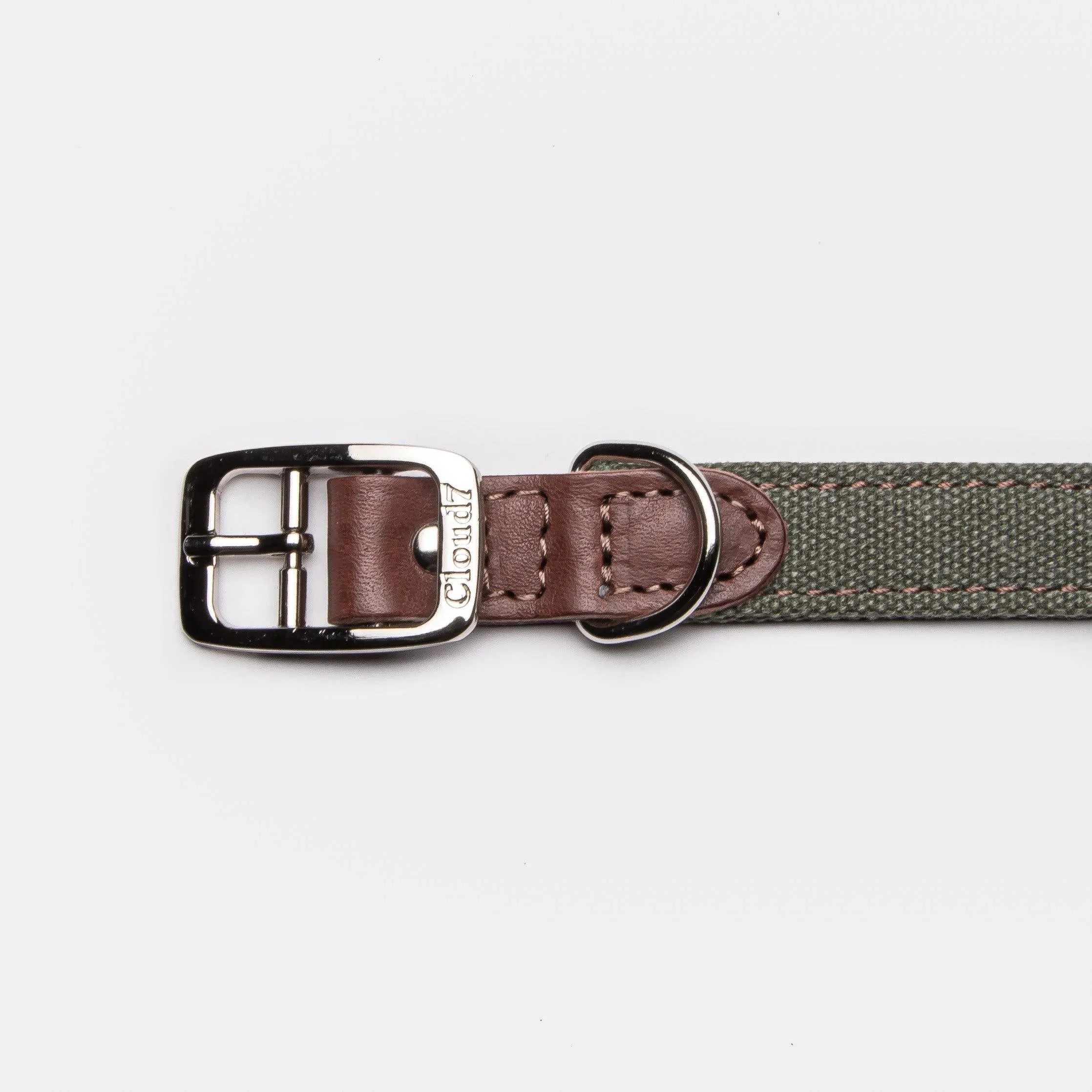 Dog Collar Tivoli