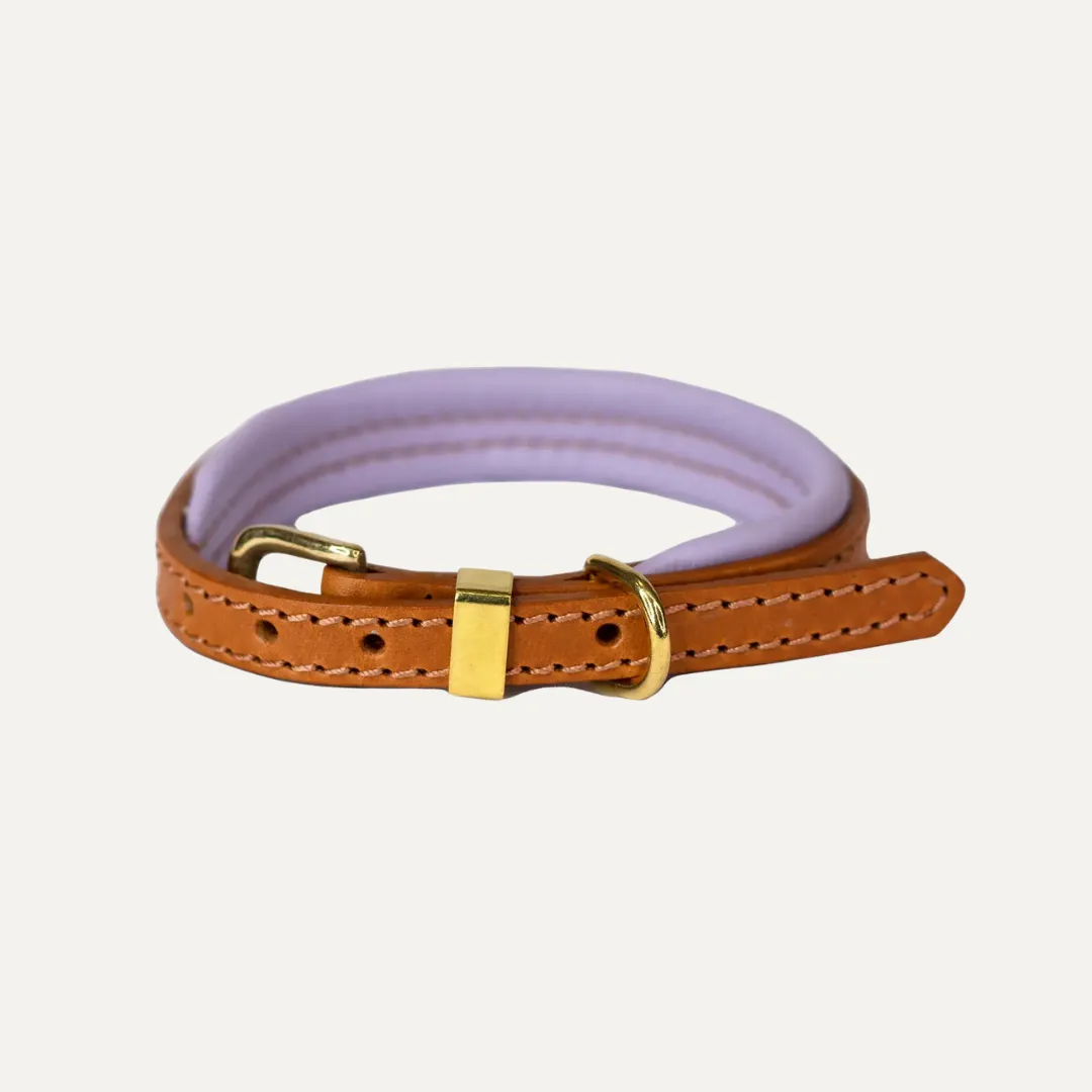 Dogs And Horses - Padded Leather Collar