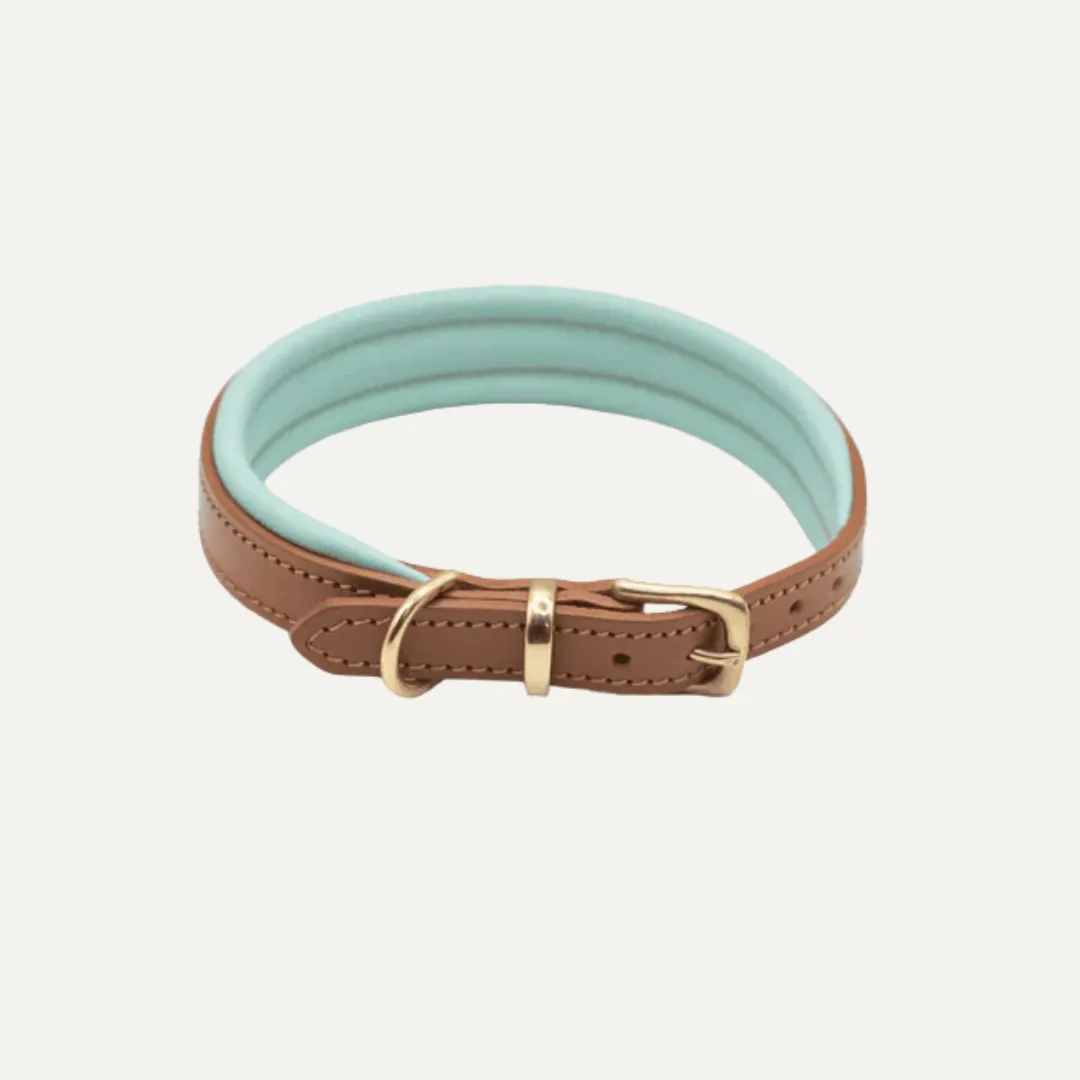 Dogs And Horses - Padded Leather Collar