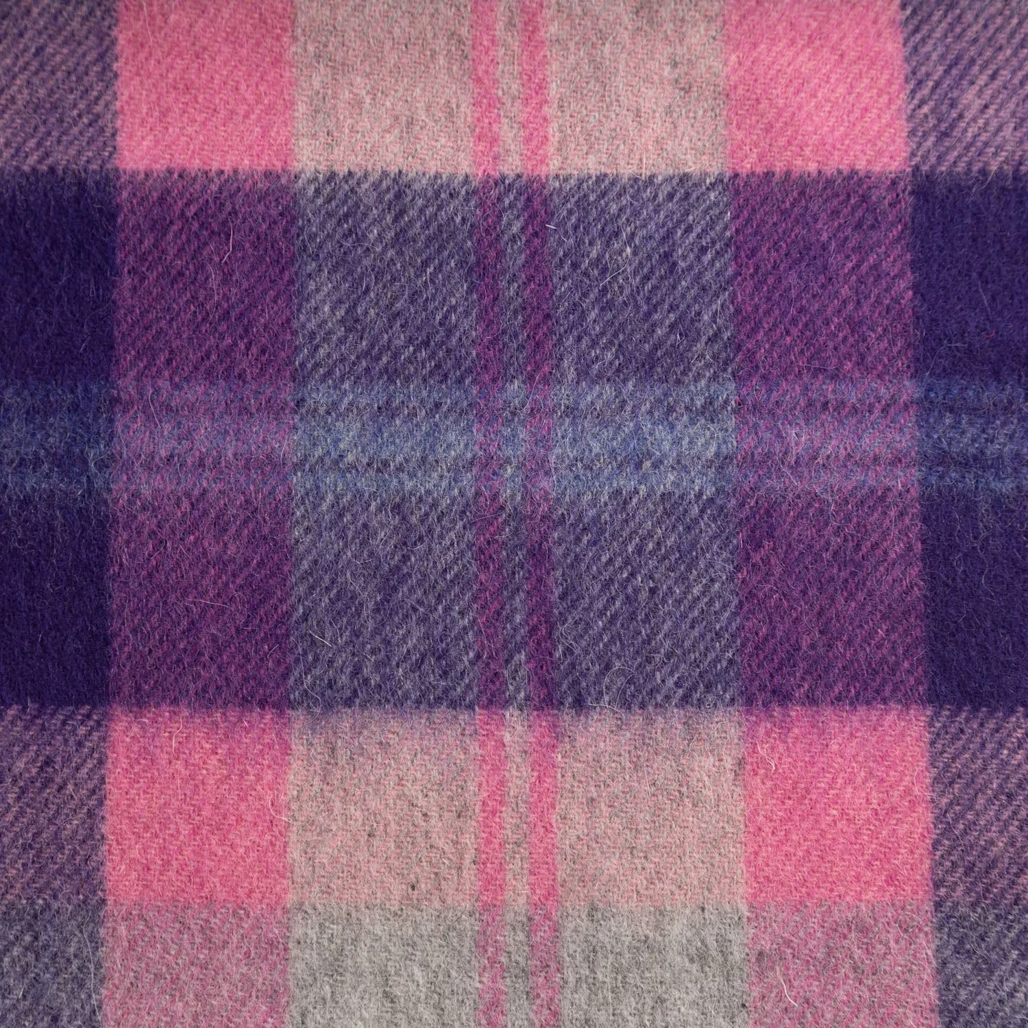 Edinburgh 100% Lambswool Tartan Scarf Baird Check Fuschia