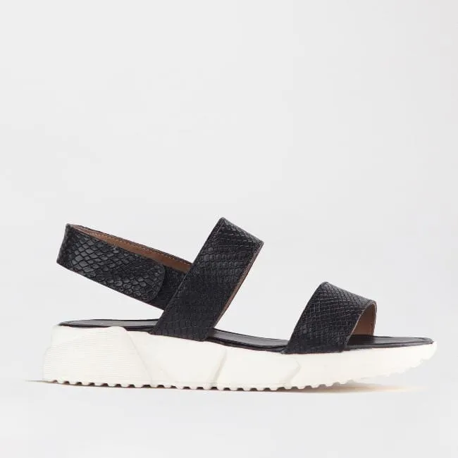 Flat Sandal Black - 12693