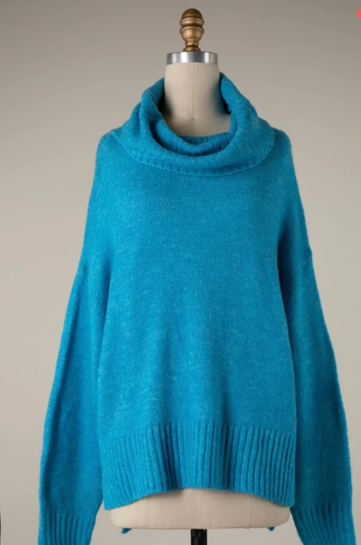 Gemma Wide Turtleneck Sweater