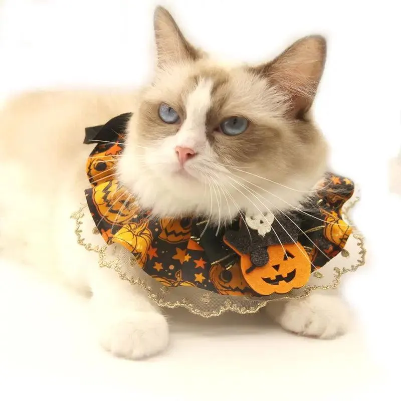 Halloween Cat Collar: Pumpkin Lace