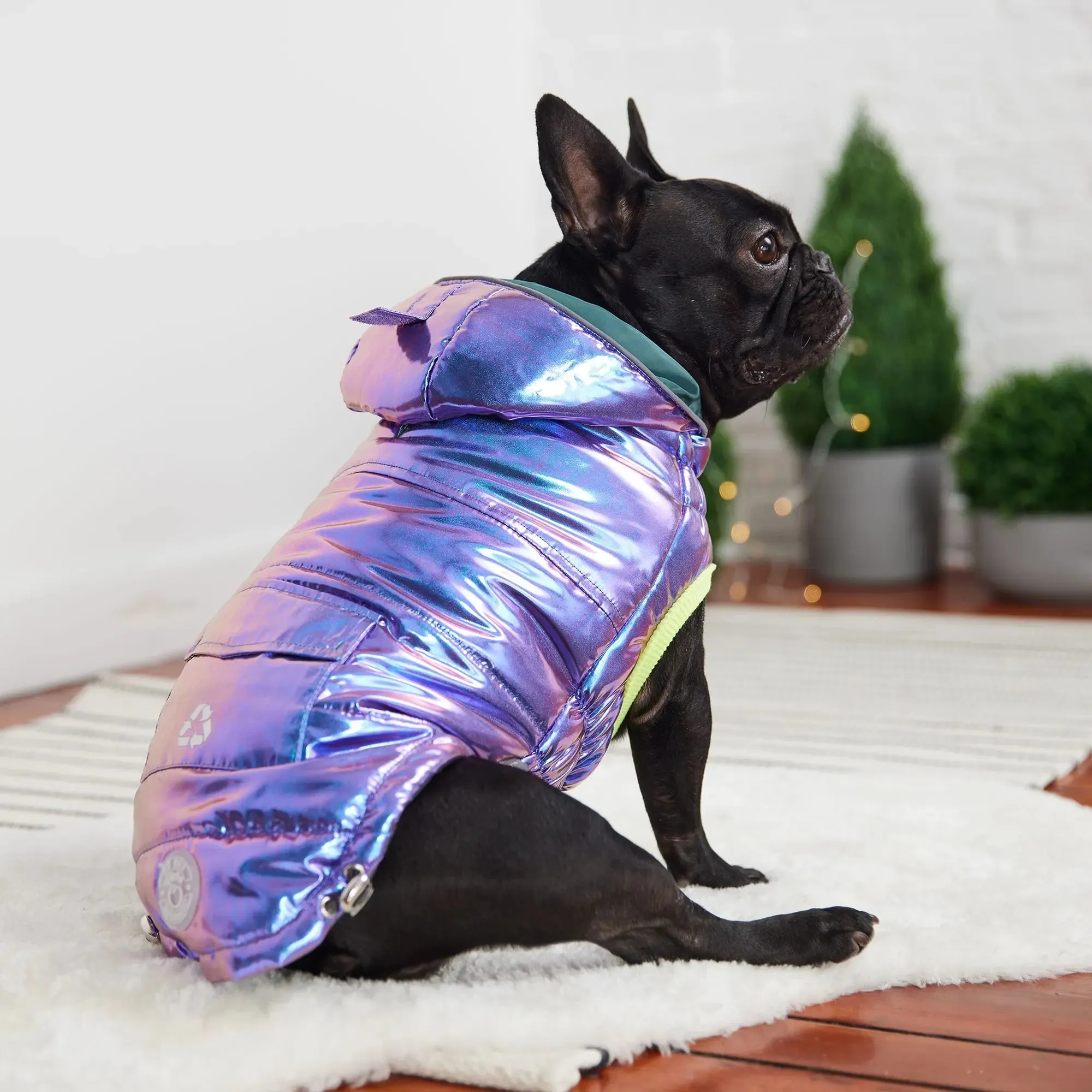 Recycled Dog Parka | Iridescent