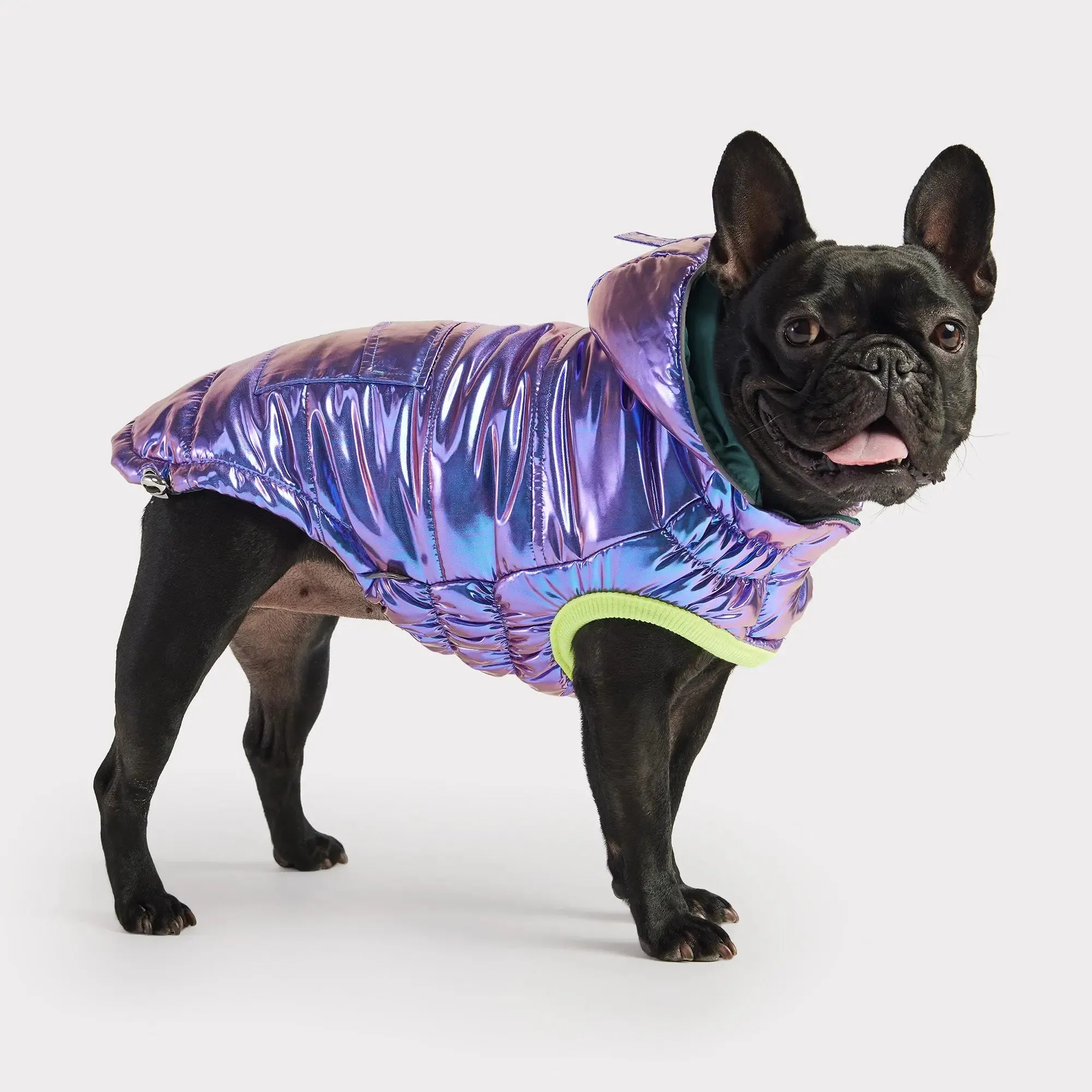 Recycled Dog Parka | Iridescent