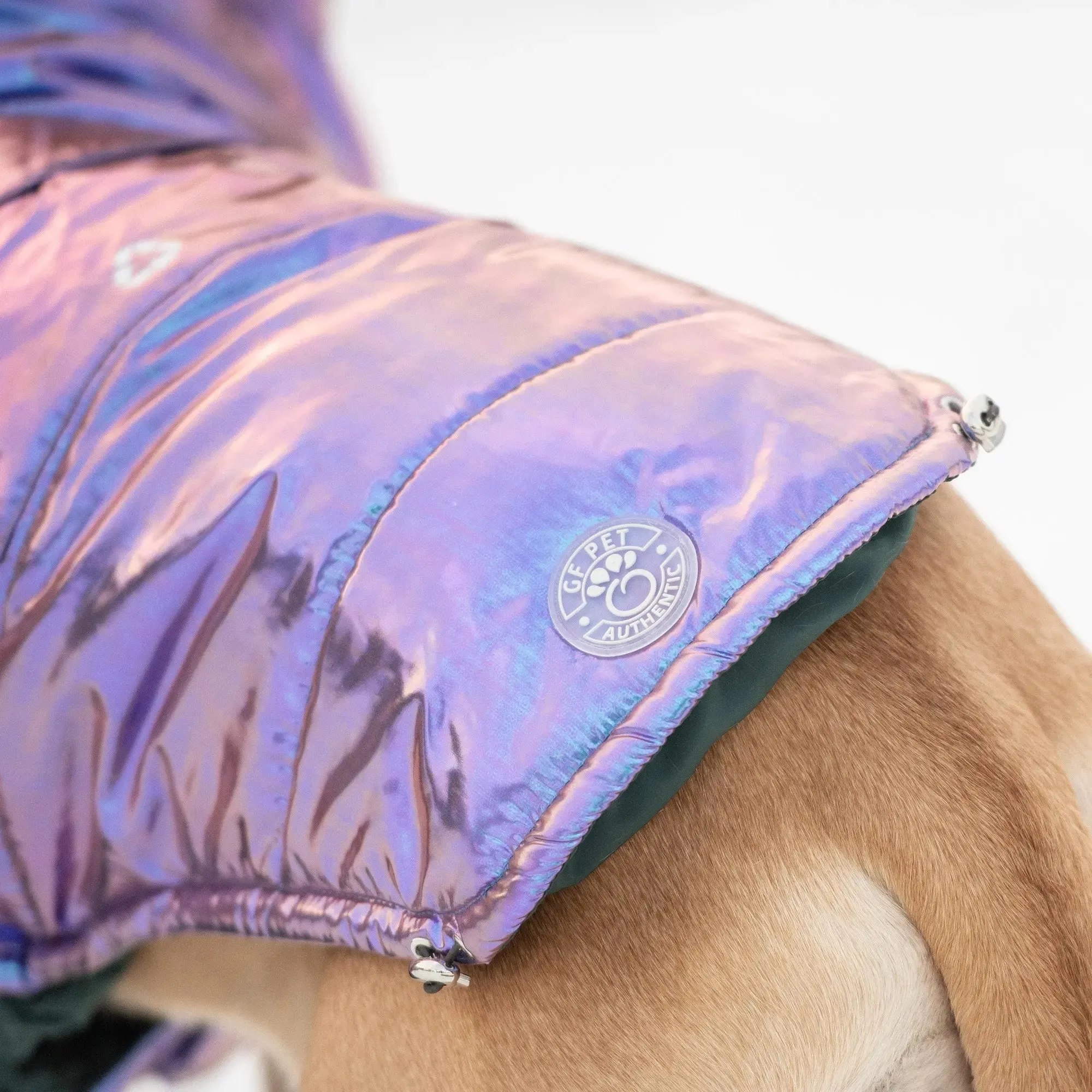 Recycled Dog Parka | Iridescent