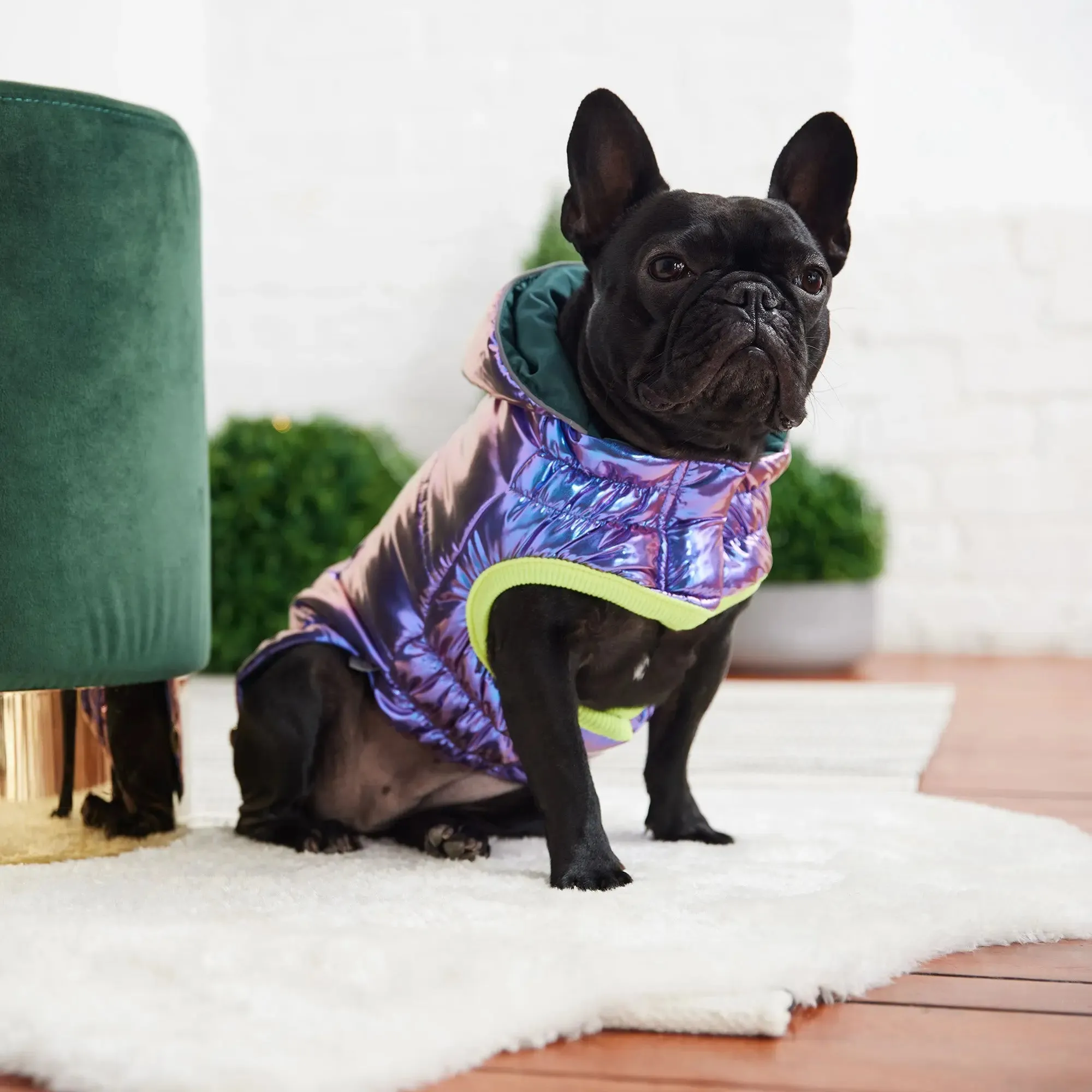 Recycled Dog Parka | Iridescent