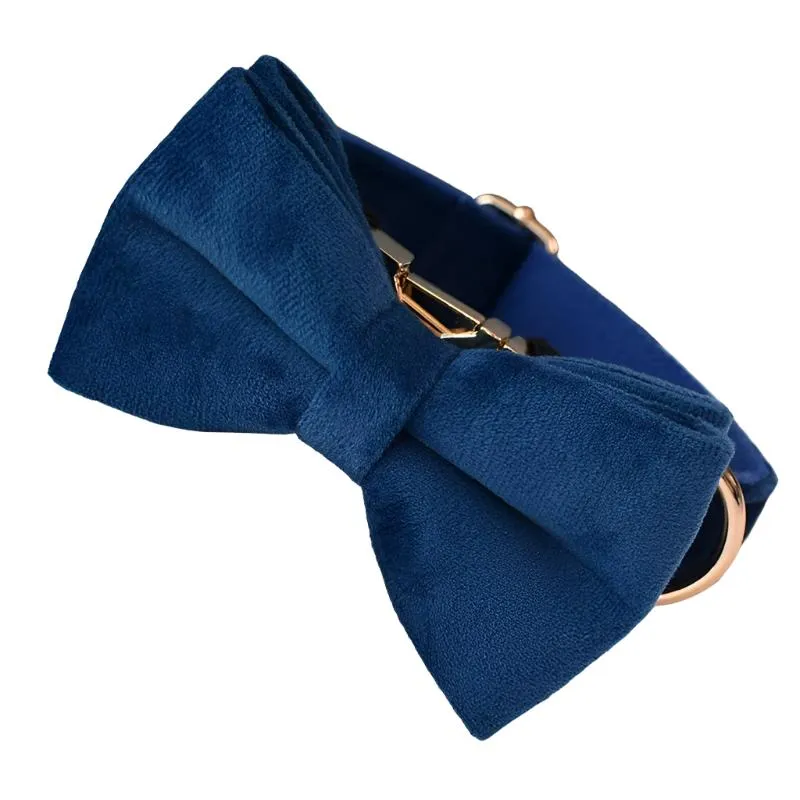 Sapphire Blue Velvet Collar with Detachable Bow Tie Personalized Leash Set