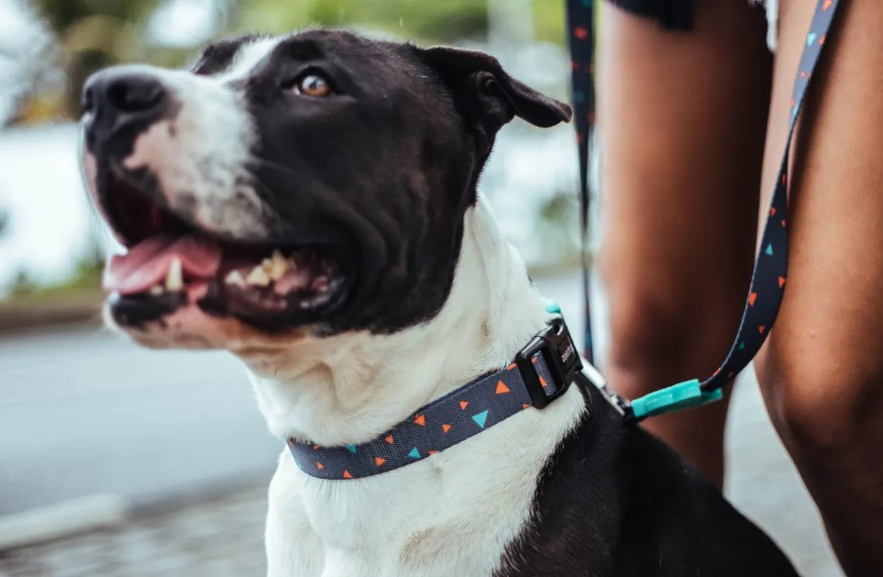 Triangles Collar